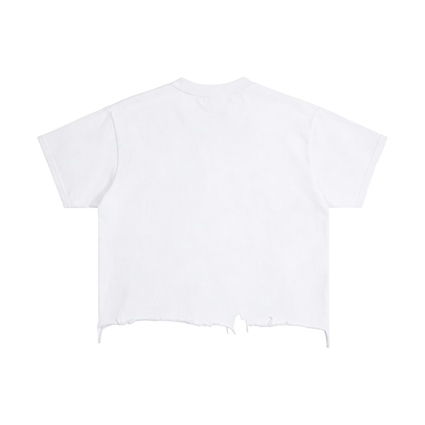 Vintage Wash Boxy Back To Skool Tee